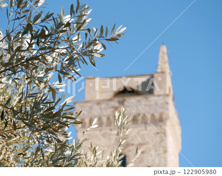 Olive tree at the background of an ancient stone tower in Tuscany with copy space at the right side Olive tree at the background of an ancient stone tower in Tuscany with copy space at the right side 122905980