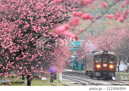 わたらせ渓谷鐵道「花桃の花咲く雨の日の神戸駅」 122906804