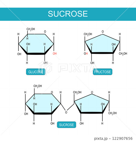 Sucrose, Fructose and Glucose molecular chemical structural formula Sucrose, Fructose and Glucose molecular chemical structural formula 122907656