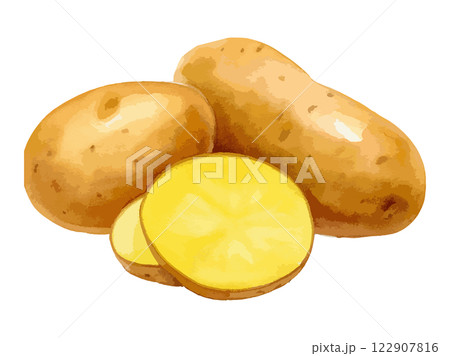じゃがいもの水彩風イラスト　生成AI 122907816