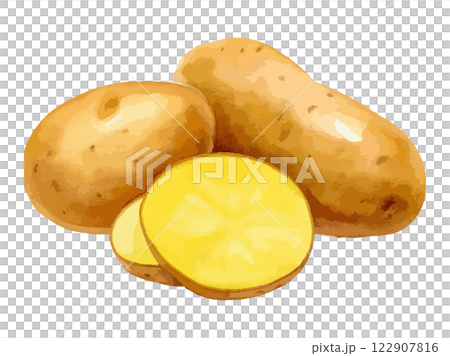 じゃがいもの水彩風イラスト　生成AI 122907816