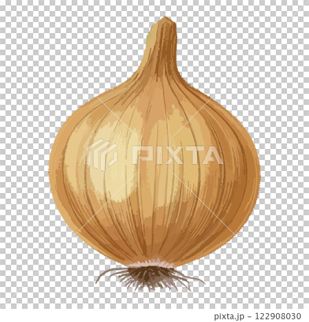 シンプルな玉ねぎの水彩風イラスト 生成AI シンプルな玉ねぎの水彩風イラスト 生成AI 122908030