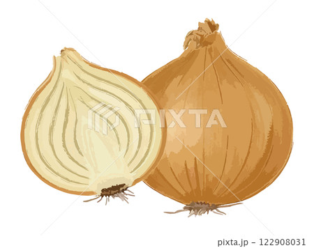 シンプルな玉ねぎの水彩風イラスト 生成AI シンプルな玉ねぎの水彩風イラスト 生成AI 122908031