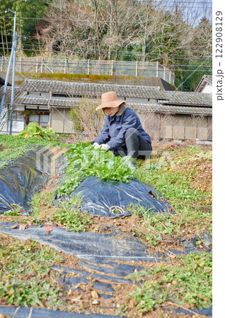 畑作業をする女性　田舎暮らし　家庭菜園 122908129