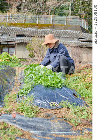 畑作業をする女性　田舎暮らし　家庭菜園 122908130
