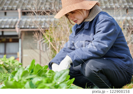 畑作業をする女性 田舎暮らし 家庭菜園 畑作業をする女性 田舎暮らし 家庭菜園 122908158