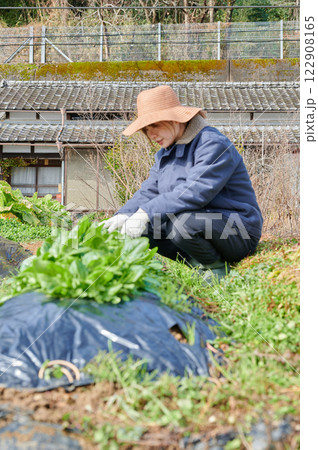 畑作業をする女性 田舎暮らし 家庭菜園 畑作業をする女性 田舎暮らし 家庭菜園 122908165