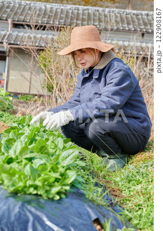 畑作業をする女性　田舎暮らし　家庭菜園 122908167