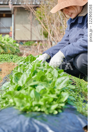 畑作業をする女性 田舎暮らし 家庭菜園 畑作業をする女性 田舎暮らし 家庭菜園 122908168