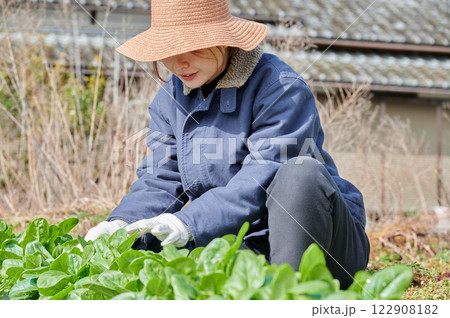 畑作業をする女性 田舎暮らし 家庭菜園 畑作業をする女性 田舎暮らし 家庭菜園 122908182