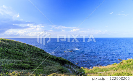 夏の城ヶ島 122908206