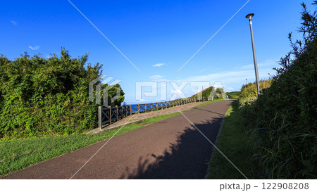 夏の城ヶ島 122908208