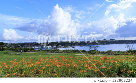 夏の城ヶ島 122908224