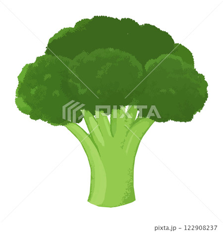 シンプルなブロッコリーのイラスト　生成AI 122908237