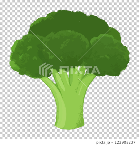 シンプルなブロッコリーのイラスト　生成AI 122908237