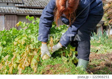 畑作業をする女性　田舎暮らし　家庭菜園 122908251