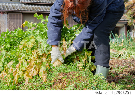 畑作業をする女性 田舎暮らし 家庭菜園 畑作業をする女性 田舎暮らし 家庭菜園 122908253