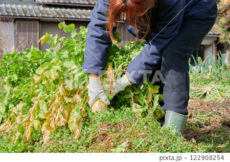 畑作業をする女性　田舎暮らし　家庭菜園 122908254