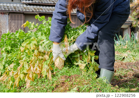 畑作業をする女性　田舎暮らし　家庭菜園 122908256