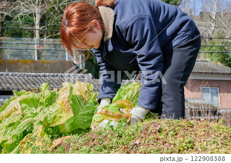 畑作業をする女性 田舎暮らし 家庭菜園 畑作業をする女性 田舎暮らし 家庭菜園 122908388