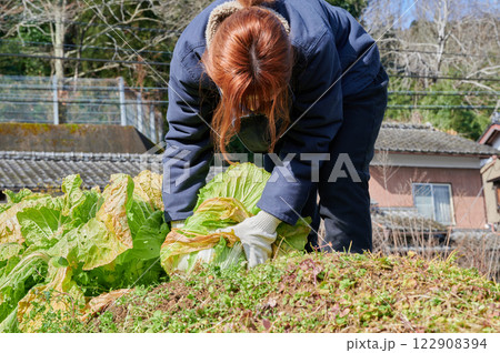 畑作業をする女性 田舎暮らし 家庭菜園 畑作業をする女性 田舎暮らし 家庭菜園 122908394