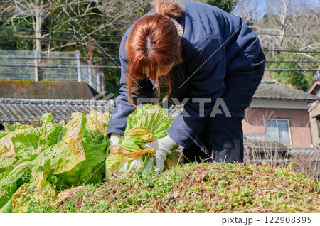 畑作業をする女性 田舎暮らし 家庭菜園 畑作業をする女性 田舎暮らし 家庭菜園 122908395