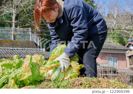 畑作業をする女性 田舎暮らし 家庭菜園 畑作業をする女性 田舎暮らし 家庭菜園 122908396