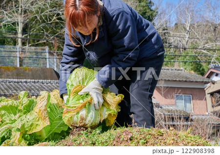 畑作業をする女性 田舎暮らし 家庭菜園 畑作業をする女性 田舎暮らし 家庭菜園 122908398
