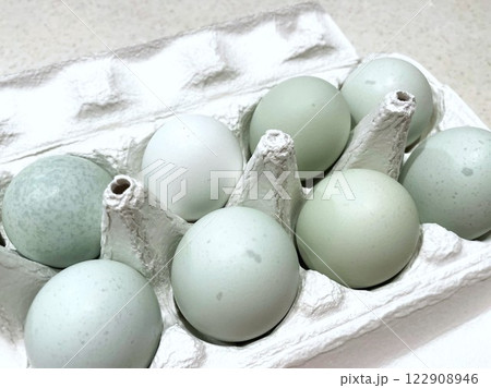 幸せの青い卵と言われる珍しい鶏卵(アローカナ)5 幸せの青い卵と言われる珍しい鶏卵(アローカナ)5 122908946