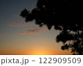 松の木と夕日 122909509