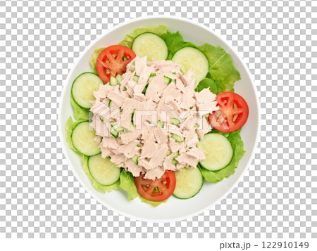 Tuna Salad A hearty salad made with flaked tuna, crisp lettuce, cucumbers, tomatoes, and a creamy mayonnaise dressing. Fresh Tuna Salad A hearty salad made with flaked tuna, crisp lettuce, cucumbers, tomatoes, and a creamy mayonnaise dressing. Fresh 122910149