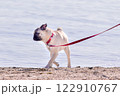 愛犬のパグと湖で散歩をしている様子 122910767