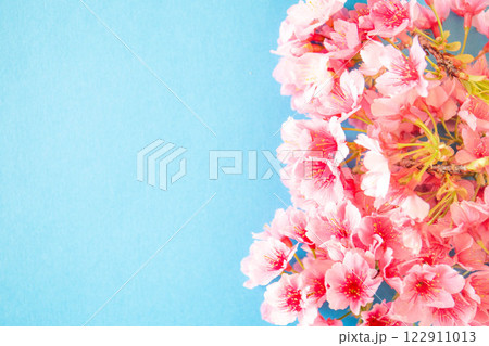 桜の花イメージ背景 122911013