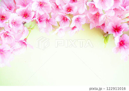 桜の花イメージ背景 122911016