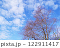 冬の青空 122911417