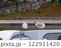 二匹のカモメ 122911420