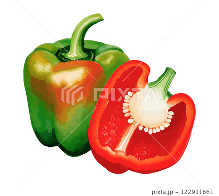 ピーマンの水彩風イラスト 生成AI ピーマンの水彩風イラスト 生成AI 122911661