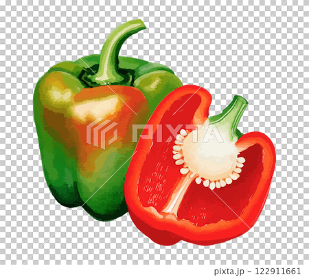 ピーマンの水彩風イラスト 生成AI ピーマンの水彩風イラスト 生成AI 122911661