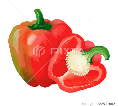 ピーマンの水彩風イラスト 生成AI ピーマンの水彩風イラスト 生成AI 122911662