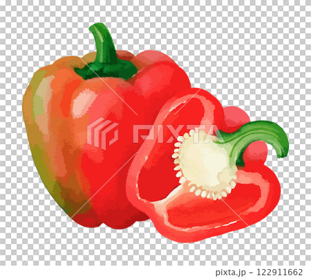 ピーマンの水彩風イラスト 生成AI ピーマンの水彩風イラスト 生成AI 122911662