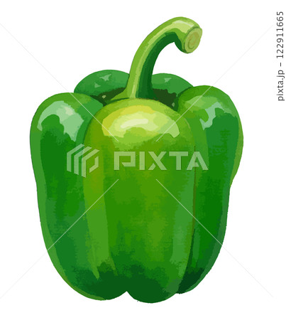 ピーマンの水彩風イラスト　生成AI 122911665