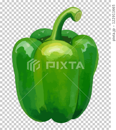 ピーマンの水彩風イラスト　生成AI 122911665