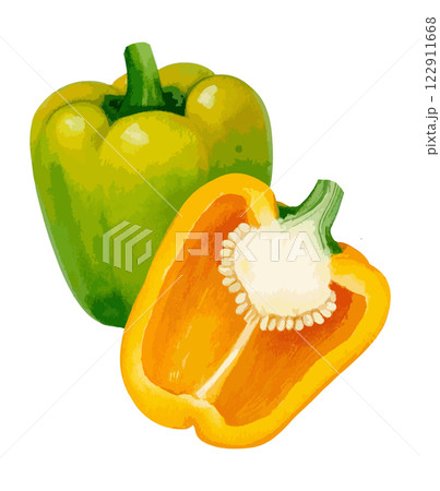 ピーマンの水彩風イラスト 生成AI ピーマンの水彩風イラスト 生成AI 122911668