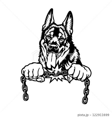 Bad German Shepherd - dog with chain - vector stencil Bad German Shepherd - dog with chain - vector stencil 122911699