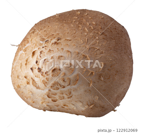 Shiitake mushrooms isolated on the white background 122912069