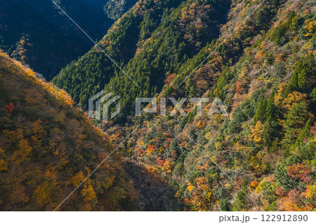 豊根村の新豊根ダムの紅葉する山肌の風景(愛知県) 122912890
