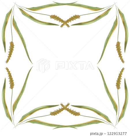 Square frame of field grasses, cereals, ears and leaves. Decor for graphic design, printing and packaging. Isolated hand-drawn watercolor illustration. Square frame of field grasses, cereals, ears and leaves. Decor for graphic design, printing and packaging. Isolated hand-drawn watercolor illustration. 122913277