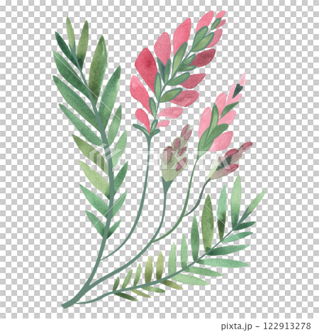 Field grass for cattle feeding. Sainfoin. Green twig with pink flowers. Watercolor isolated illustration. Field grass for cattle feeding. Sainfoin. Green twig with pink flowers. Watercolor isolated illustration. 122913278