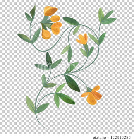 Field grass for cattle feeding. Lyadvinets. Green branch with yellow flowers. Watercolor isolated illustration. 122913286