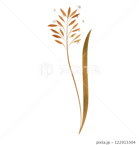 Field grass for cattle feed. Spikelet. Green branch of plant. Watercolor isolated illustration. 122913304